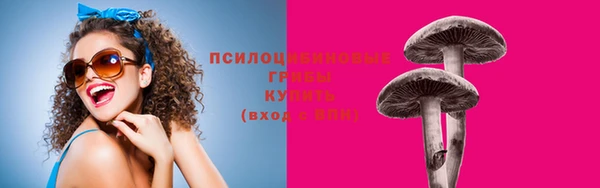 спайс Алексеевка